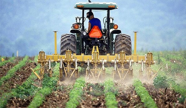 Miras tarlalar için yeni düzenleme