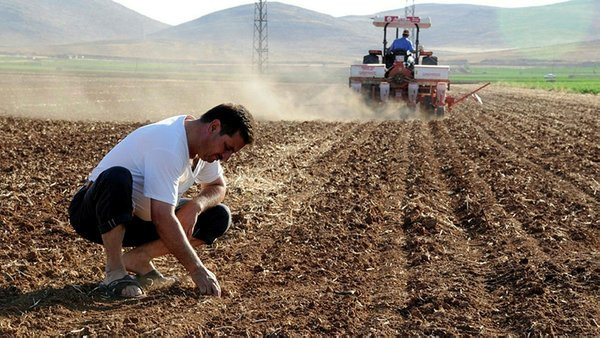 Miras tarlalar için yeni düzenleme