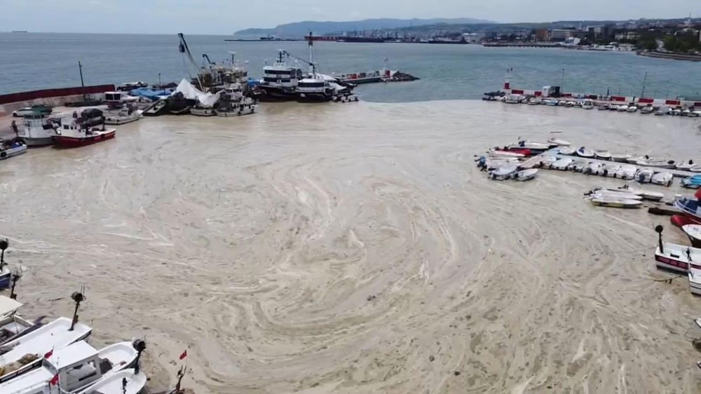 Tekirdağ kıyılarında müsilaj etkisini yitirdi!