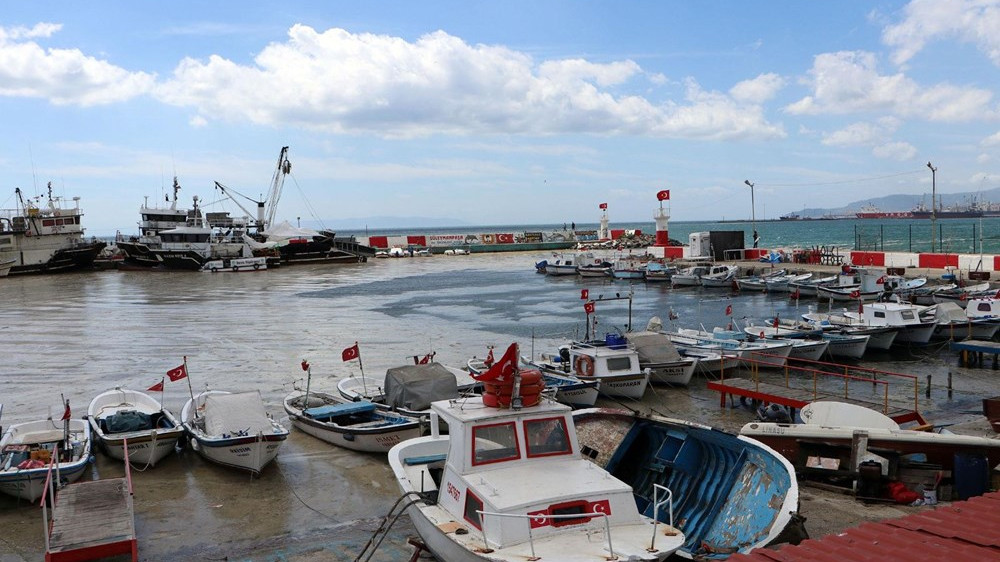 Tekirdağ kıyılarında müsilaj etkisini yitirdi!