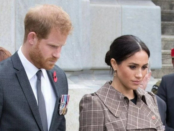 Prens Harry ve Meghan Markle çiftine çevre ödülü