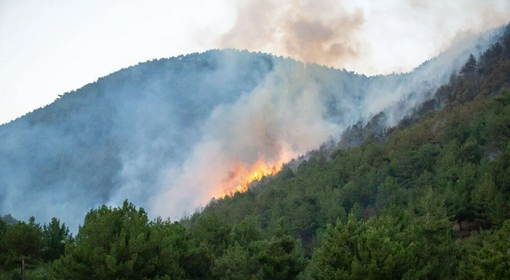 Hatay ve Mersin'de orman yangını! 50 ev tahliye edildi...