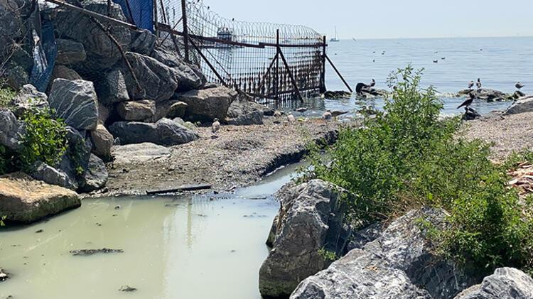 Kadıköy'de denize akan 'renkli su' endişesi