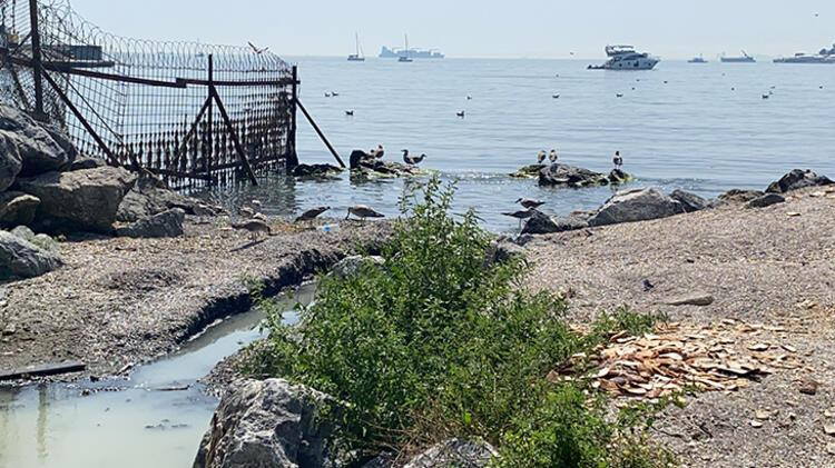 Kadıköy'de denize akan 'renkli su' endişesi