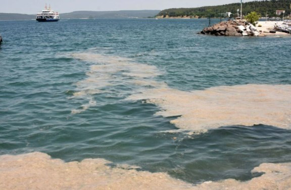 Çanakkale'de müsilaj deniz süpürgesiyle temizleniyor