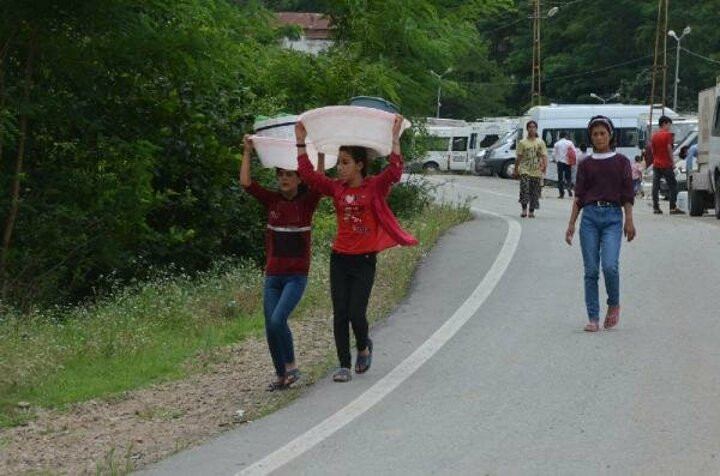 Ordu'da fındık göçü başladı: Akın akın geliyorlar