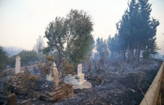 Manavgat'ta yangın felaketi! 3 kişi hayatını kaybetti