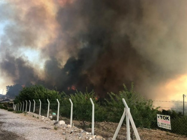 Manavgat'ta yangın felaketi! 3 kişi hayatını kaybetti