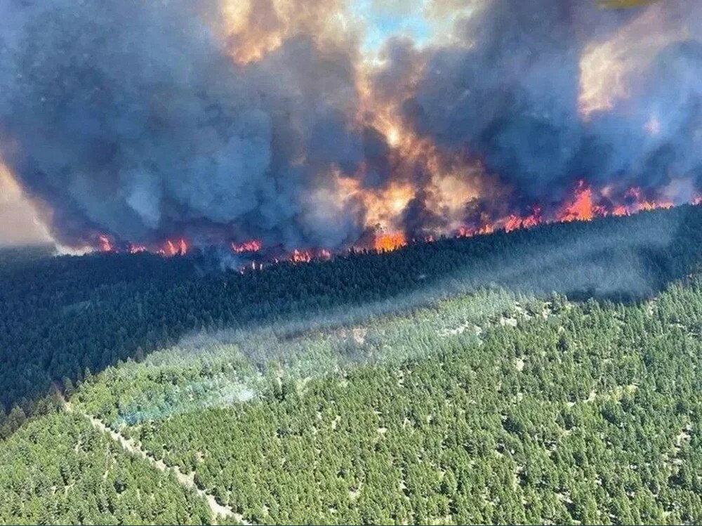 ABD'yi ve Kanada'yı kavuran sıcaklıklar Kuzey Avrupa'da!