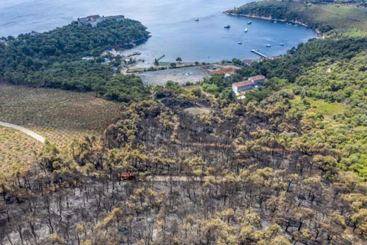 Heybeliada'da yangın nedeniyle zarar gören alan havadan görüntülendi