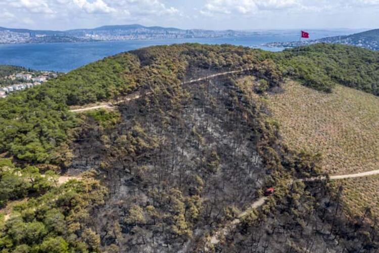 Heybeliada'da yangın nedeniyle zarar gören alan havadan görüntülendi