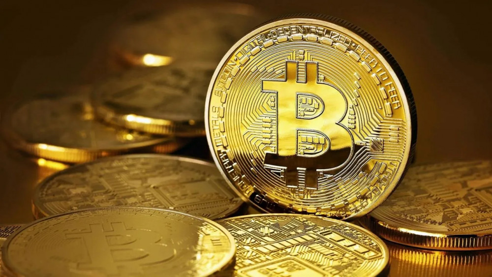 Hangi şirketin ne kadar Bitcoin'i var?