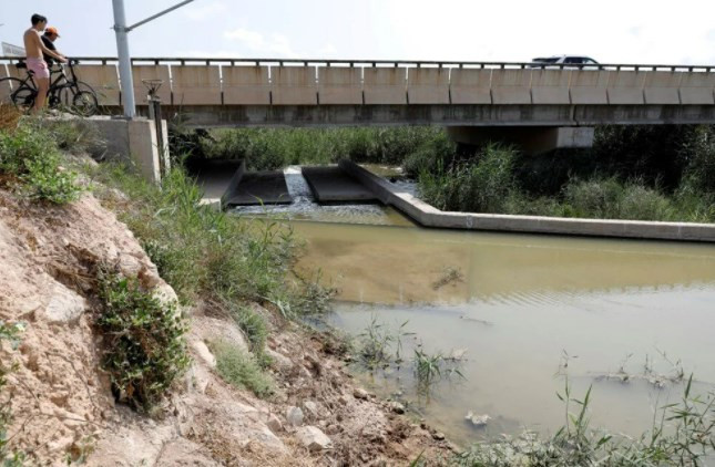 İspanya'nın Mar Menor kıyılarında tonlarca balık öldü