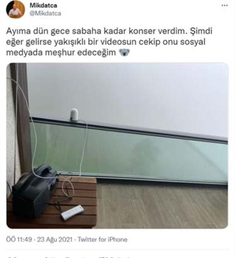 Profesörün, evine dadanan bozayı ile başı dertte