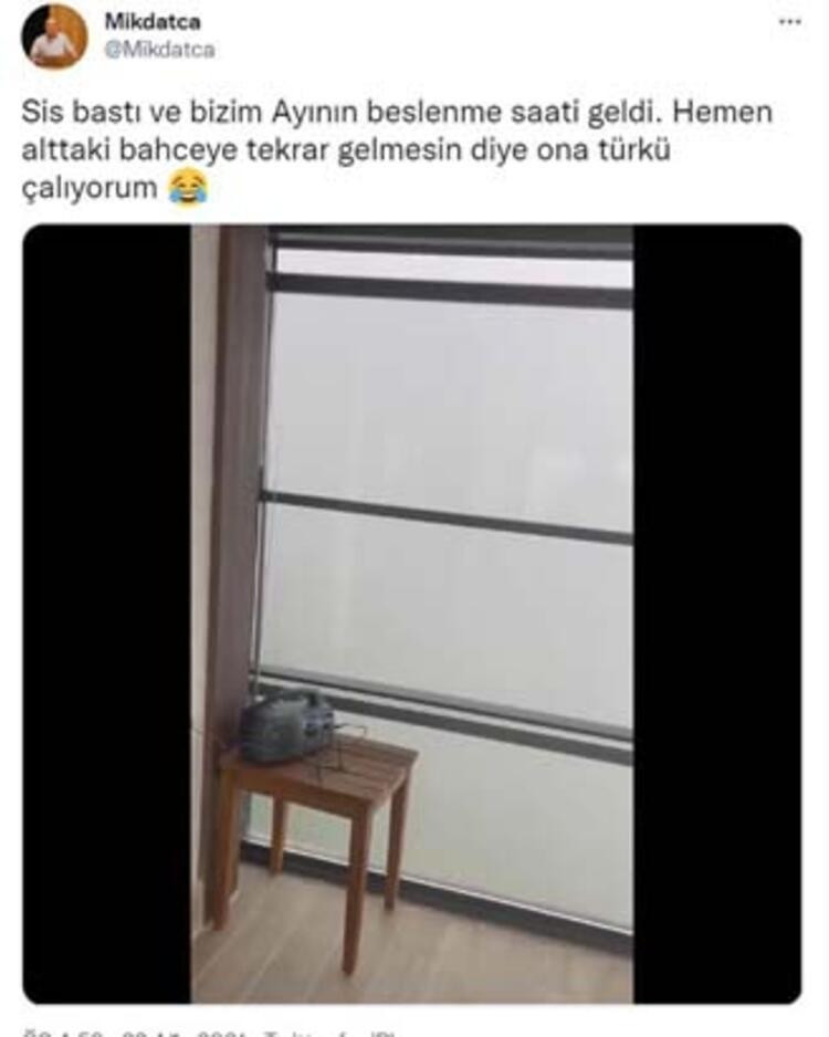 Profesörün, evine dadanan bozayı ile başı dertte