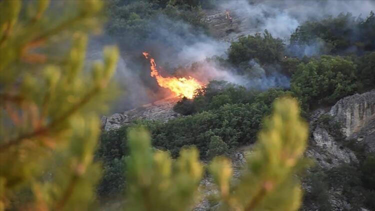 İşte ormanlarla ilgili rapordaki ilk tespit!