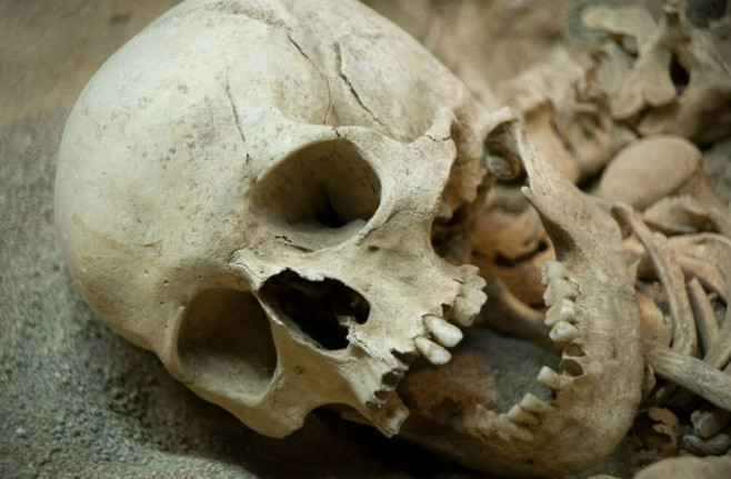 65 bin yıl önceki duvar resimlerini Neandertallerin yaptığı kanıtlandı