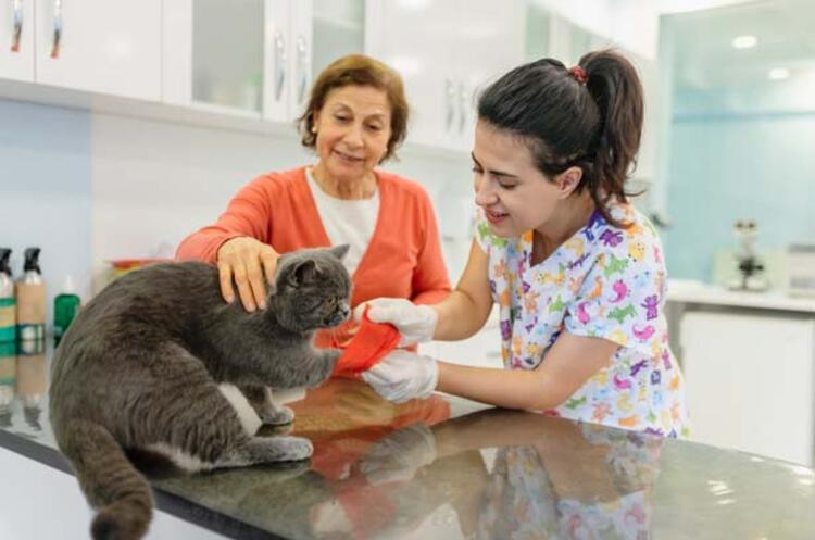  Yeni salgın kabusu: Hastalananların % 64'ü ölüyor!