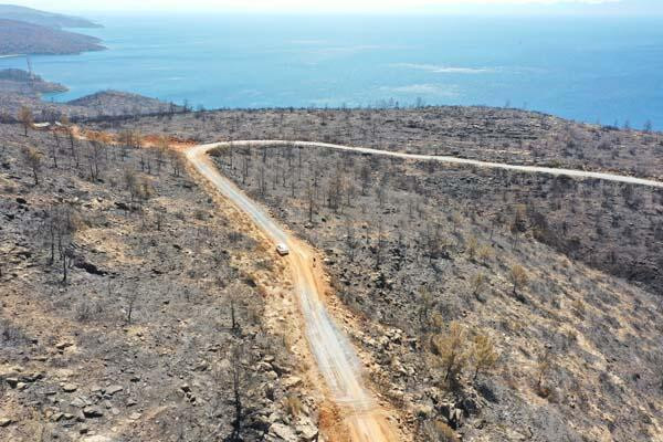 Bodrum ve Milas havadan görüntülendi: Acı tablo...