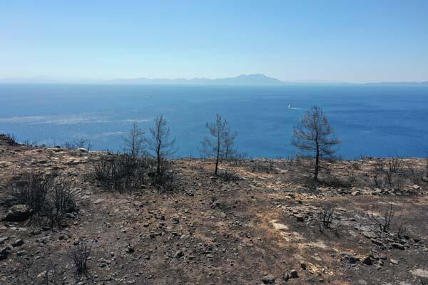 Bodrum ve Milas havadan görüntülendi: Acı tablo...