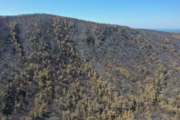 Bodrum ve Milas havadan görüntülendi: Acı tablo...