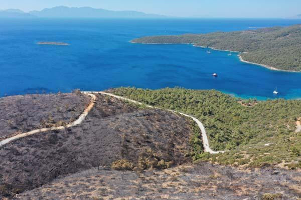 Bodrum ve Milas havadan görüntülendi: Acı tablo...