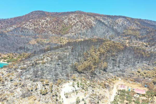 Bodrum ve Milas havadan görüntülendi: Acı tablo...