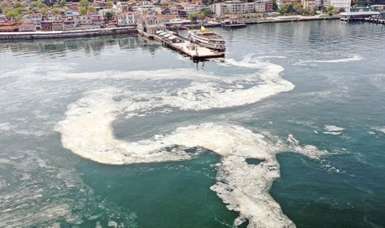 Balıkçı da vatandaş da bunu soruyor: İşte tezgaha etkisi!