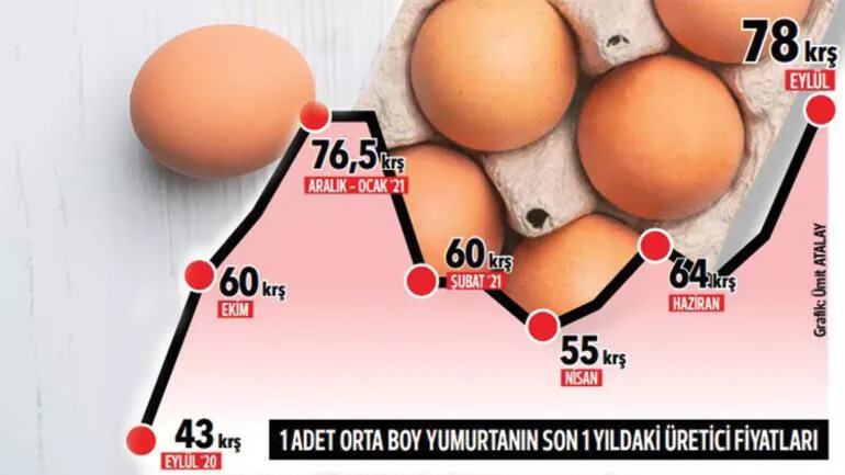 Fiyatı neredeyse iki kat arttı: Yumurta mercek altında...