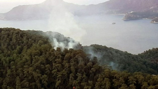 Muğla'da 3 günde yıldırım düşmesi sonucu 37 yangın çıktı