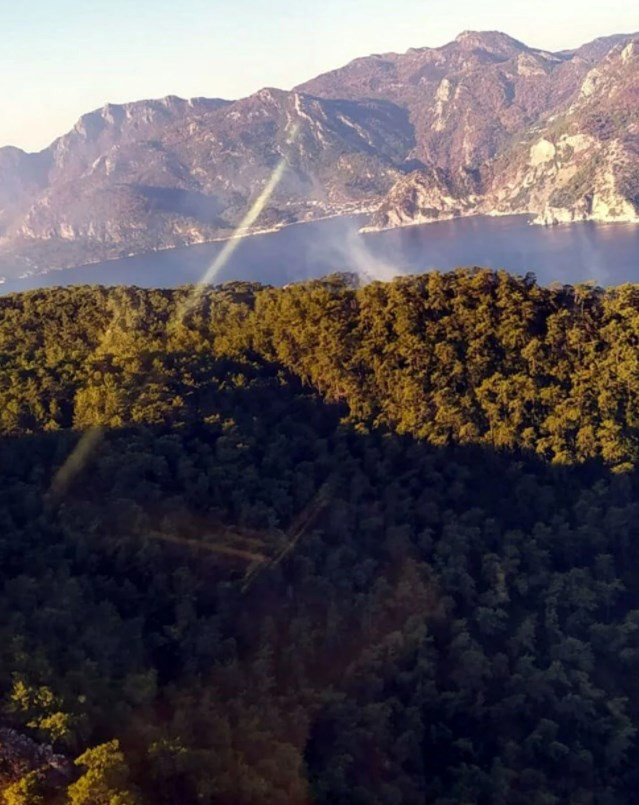 Muğla'da 3 günde yıldırım düşmesi sonucu 37 yangın çıktı