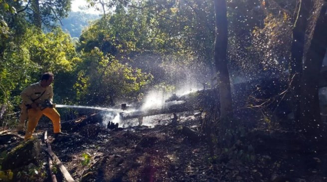 Muğla'da 3 günde yıldırım düşmesi sonucu 37 yangın çıktı