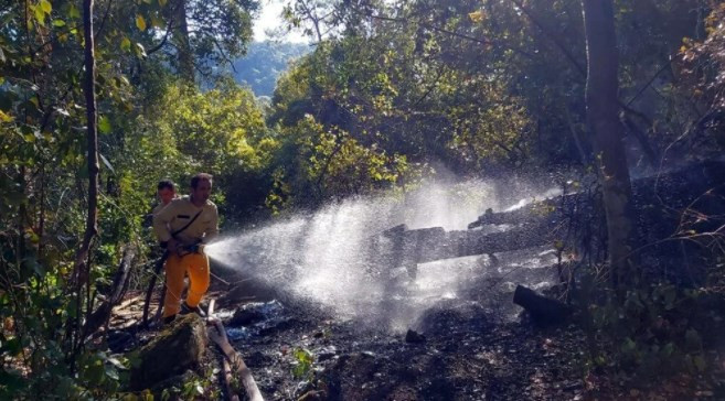 Muğla'da 3 günde yıldırım düşmesi sonucu 37 yangın çıktı