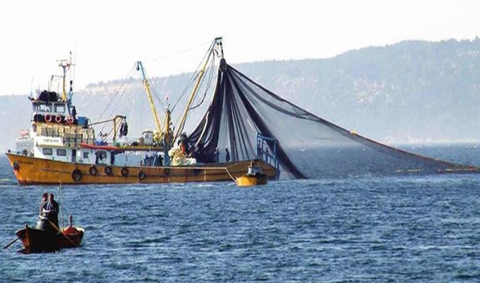 Uzmanlar yanıtladı: Marmara'dan balık yenir mi?