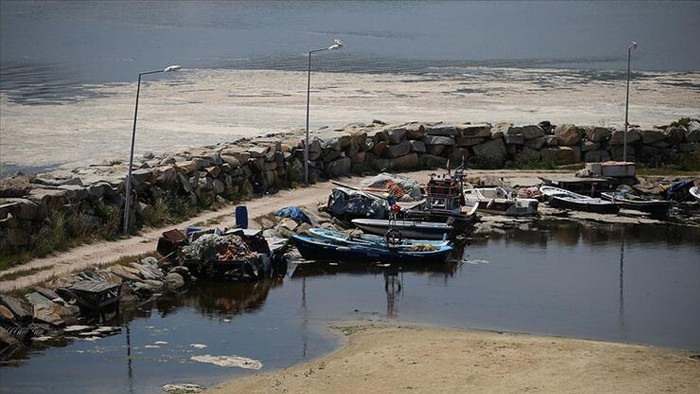 Uzmanlar yanıtladı: Marmara'dan balık yenir mi?