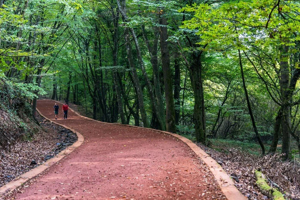 Marmara Havzası raporu: İstanbul'un altı da cevher üstü de...