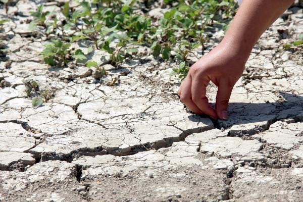 Türkiye'yi endişelendiren görüntü: Kuraklık barajı vurdu!