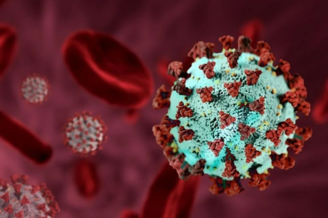 Bilim insanları mRNA aşısı içeren sebzeler yetiştiriyor