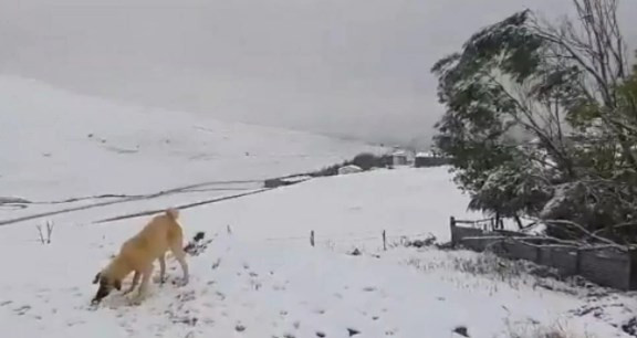 Kar erken geldi! İşte yurttan kar manzaraları