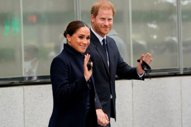 Meghan Markle ve Prens Harry'ye özel jet eleştirisi