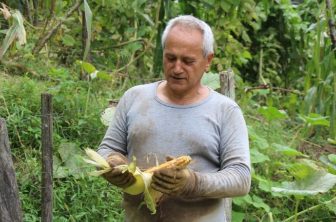 Atandığı ülkeye gidemeyen büyükelçi, kendini bahçe işlerine verdi