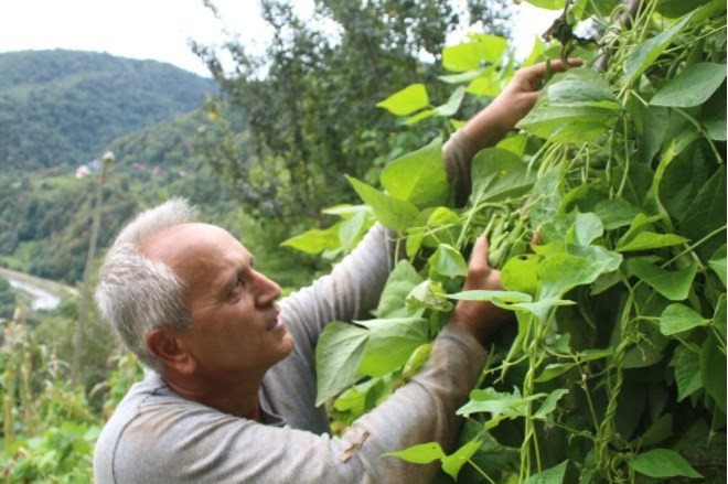 Atandığı ülkeye gidemeyen büyükelçi, kendini bahçe işlerine verdi