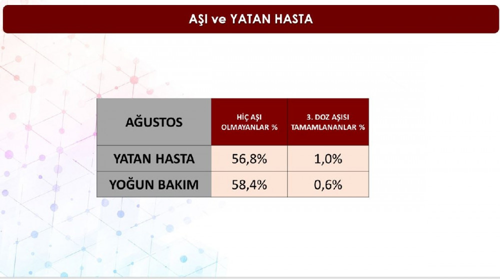 İlk kez paylaşıldı: İşte İstanbul'un ilçe ilçe aşılama oranları...