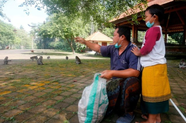 Maymunlar, turistler olmayınca Bali'de evleri yağmaladı