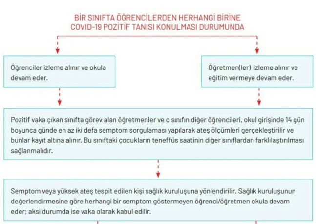 Okullar için Kovid-19 rehberi yayımlandı