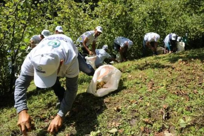 Fındık hasadı bitti, tersine göçle vakalar düştü