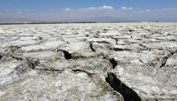 Van Gölü’ndeki çekilme 1 kilometreyi aştı