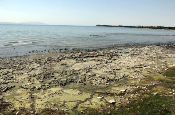 Van Gölü’ndeki çekilme 1 kilometreyi aştı