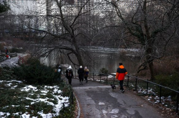 New York'ta aşırı soğuk nedeniyle Central Park'taki göl dondu