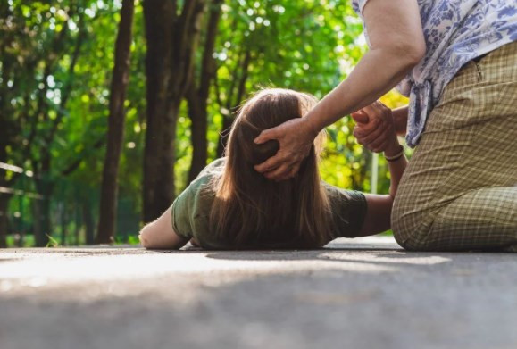 Domuzdan alınan beyin hücreleri ile deniz aslanın epilepsisi tedavi edildi